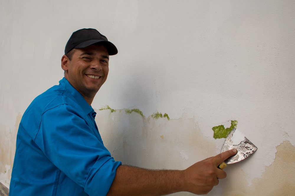 water damage restoration businesses